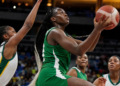 D’Tigress Fall to South Korea in 2026 World Cup Opener Despite Strong Start