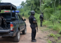 As Schools Reopen, Nigeria Faces Renewed Pressure to Protect Classrooms editorial image