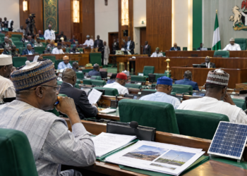 Reps Back Renewable Energy Authority Bill as Nigeria Rethinks Power Regulation