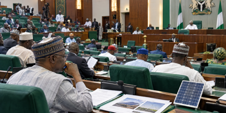 Reps Back Renewable Energy Authority Bill as Nigeria Rethinks Power Regulation